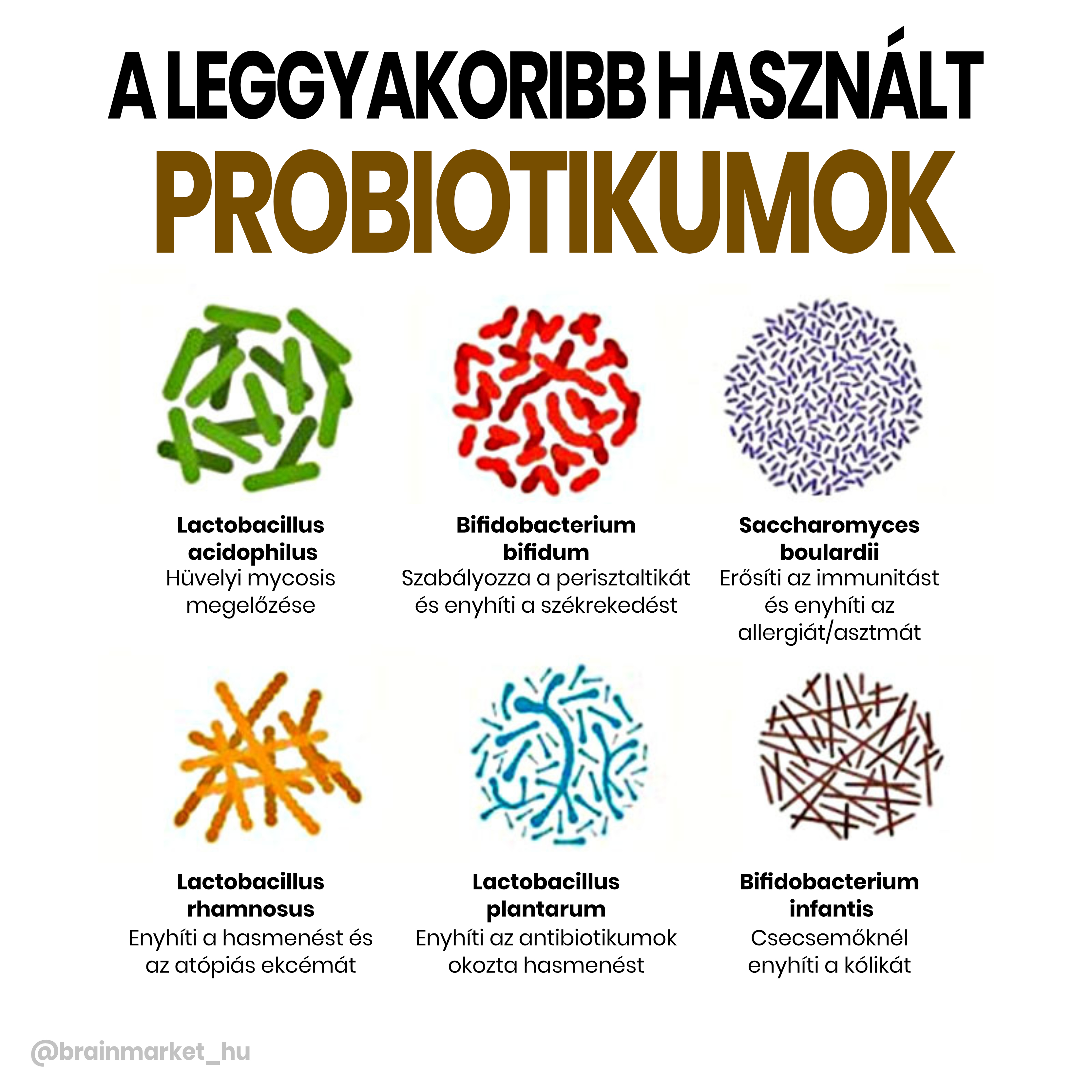 nejcasteji-probiotika_hu